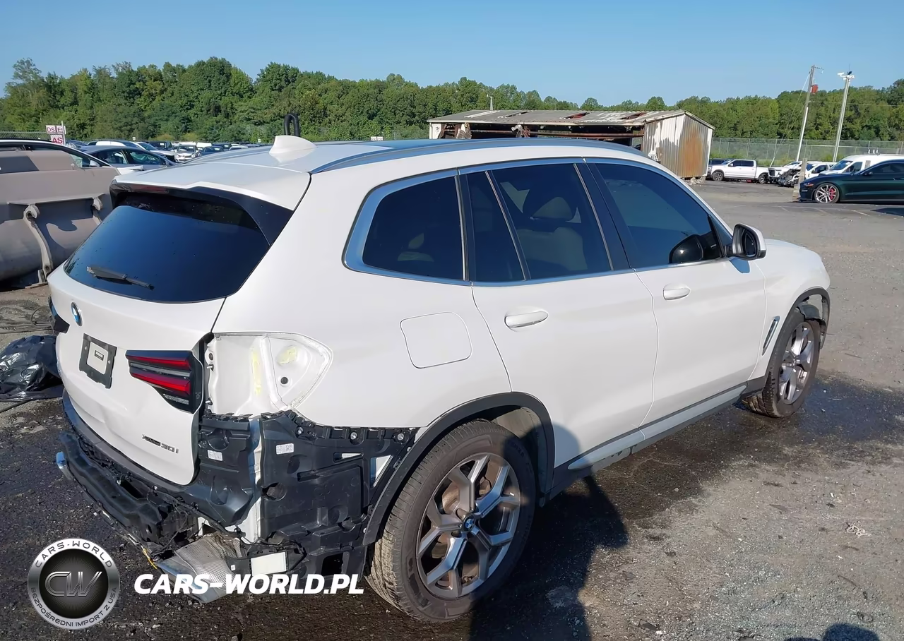 2023 BMW X3 xDrive30I VIN:5UX53DP06P9R83815 - 4