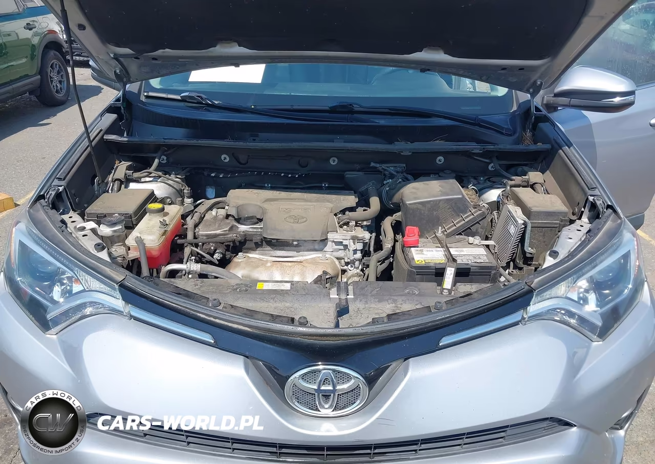 2016 Toyota Rav4 Xle VIN:2T3RFREV4GW422213 - 10