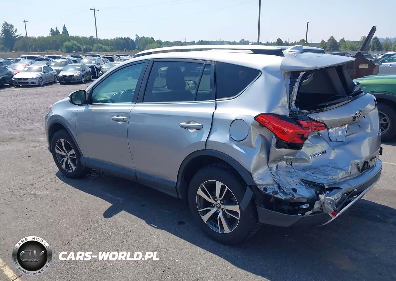 2016 Toyota Rav4 Xle VIN:2T3RFREV4GW422213 - 3