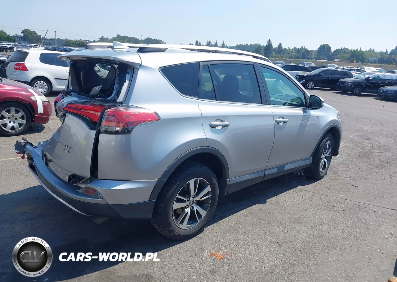 2016 Toyota Rav4 Xle VIN:2T3RFREV4GW422213 - 4