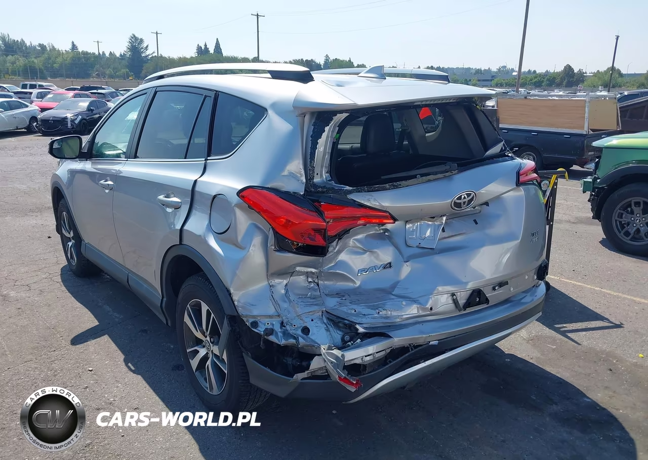 2016 Toyota Rav4 Xle VIN:2T3RFREV4GW422213 - 6