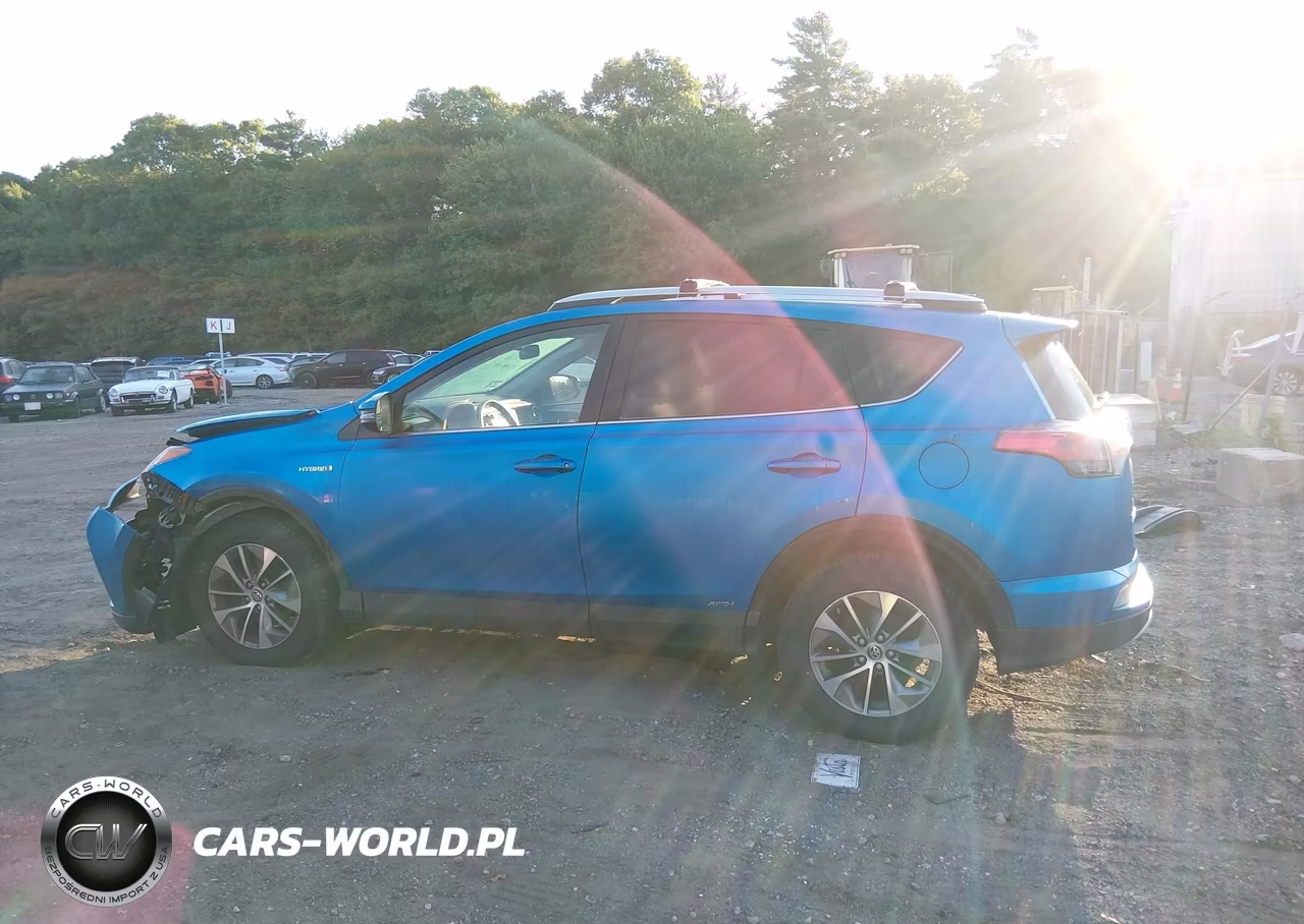 2016 Toyota Rav4 Hybrid Xle VIN:JTMRJREV5GD008269 - 14