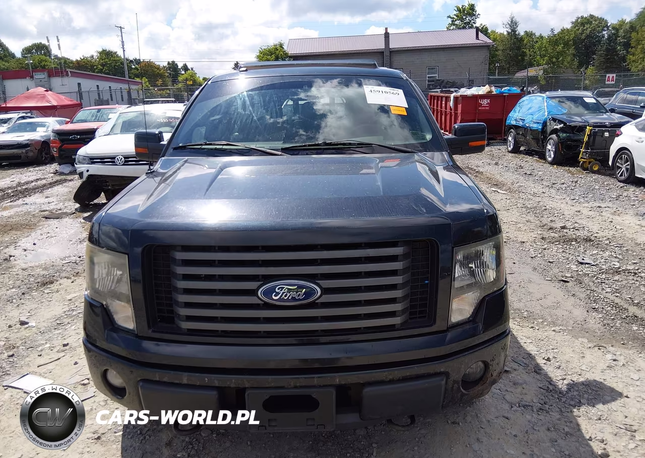 2011 Ford F-150 Fx4 VIN:1FTFW1EF9BFA93094 - 12