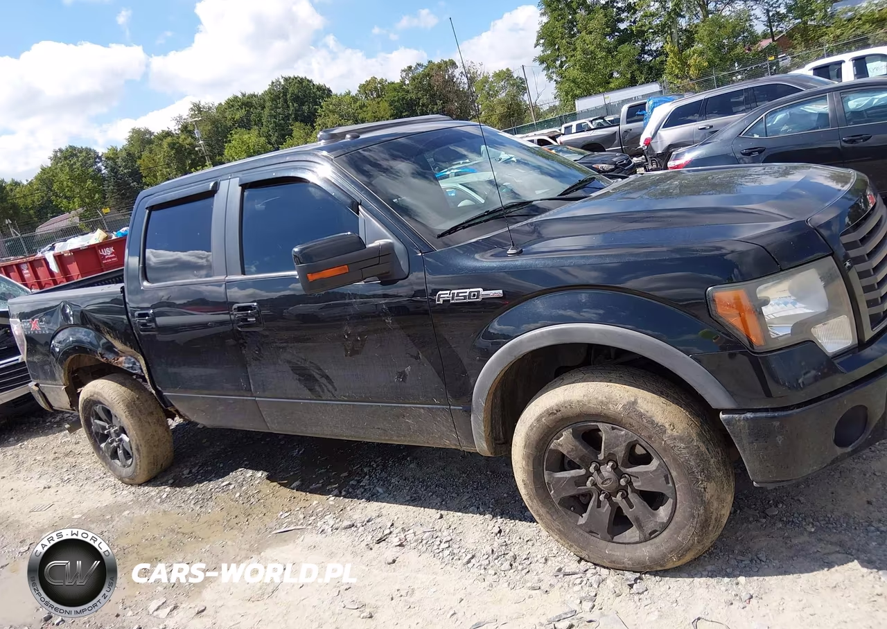 2011 Ford F-150 Fx4 VIN:1FTFW1EF9BFA93094 - 13