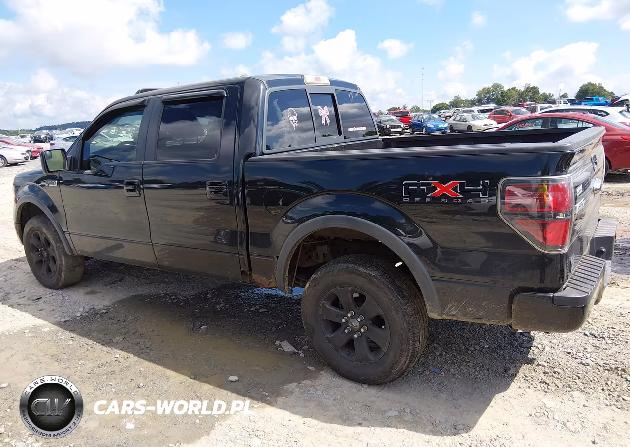 2011 Ford F-150 Fx4 VIN:1FTFW1EF9BFA93094 - 14