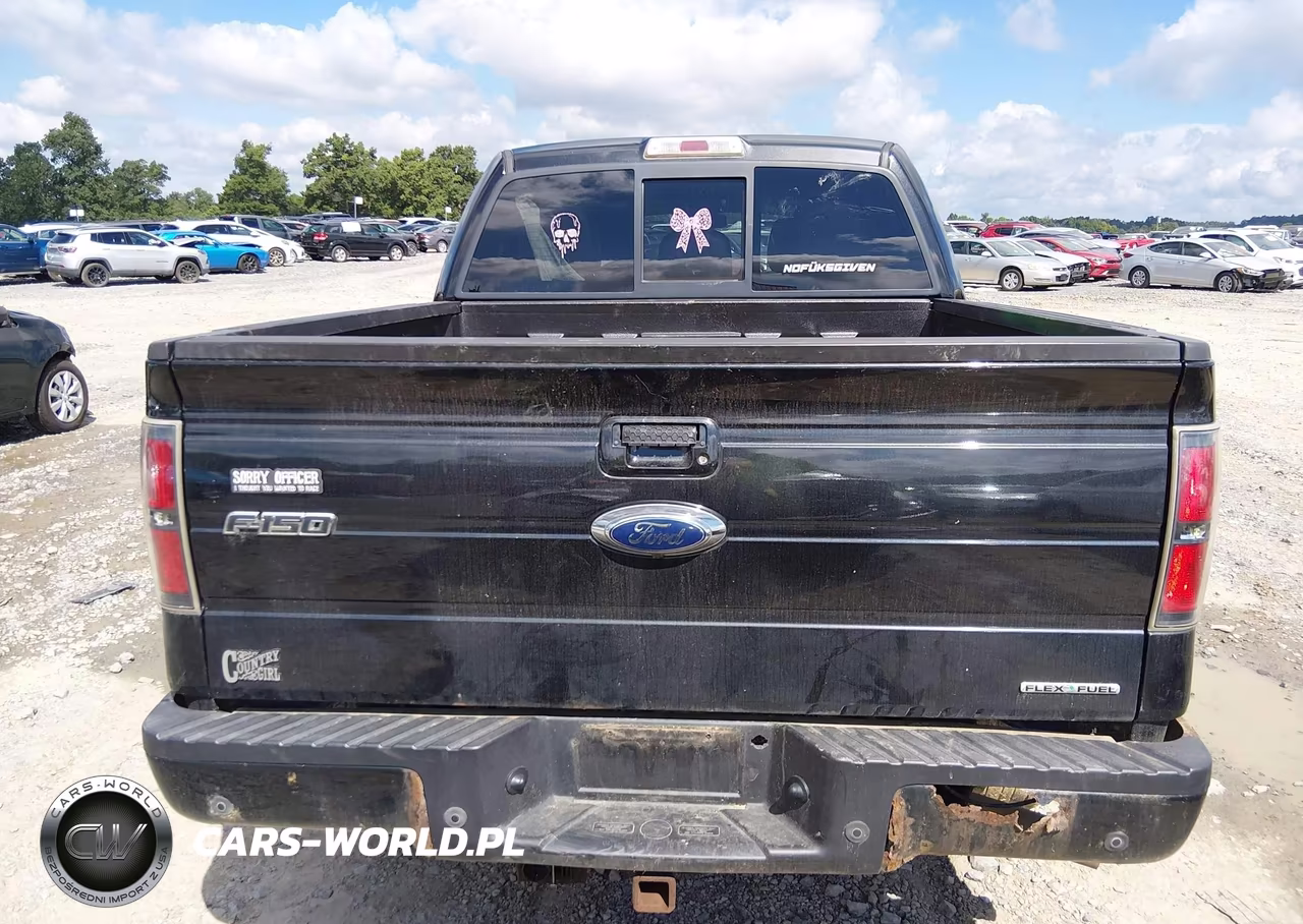 2011 Ford F-150 Fx4 VIN:1FTFW1EF9BFA93094 - 16