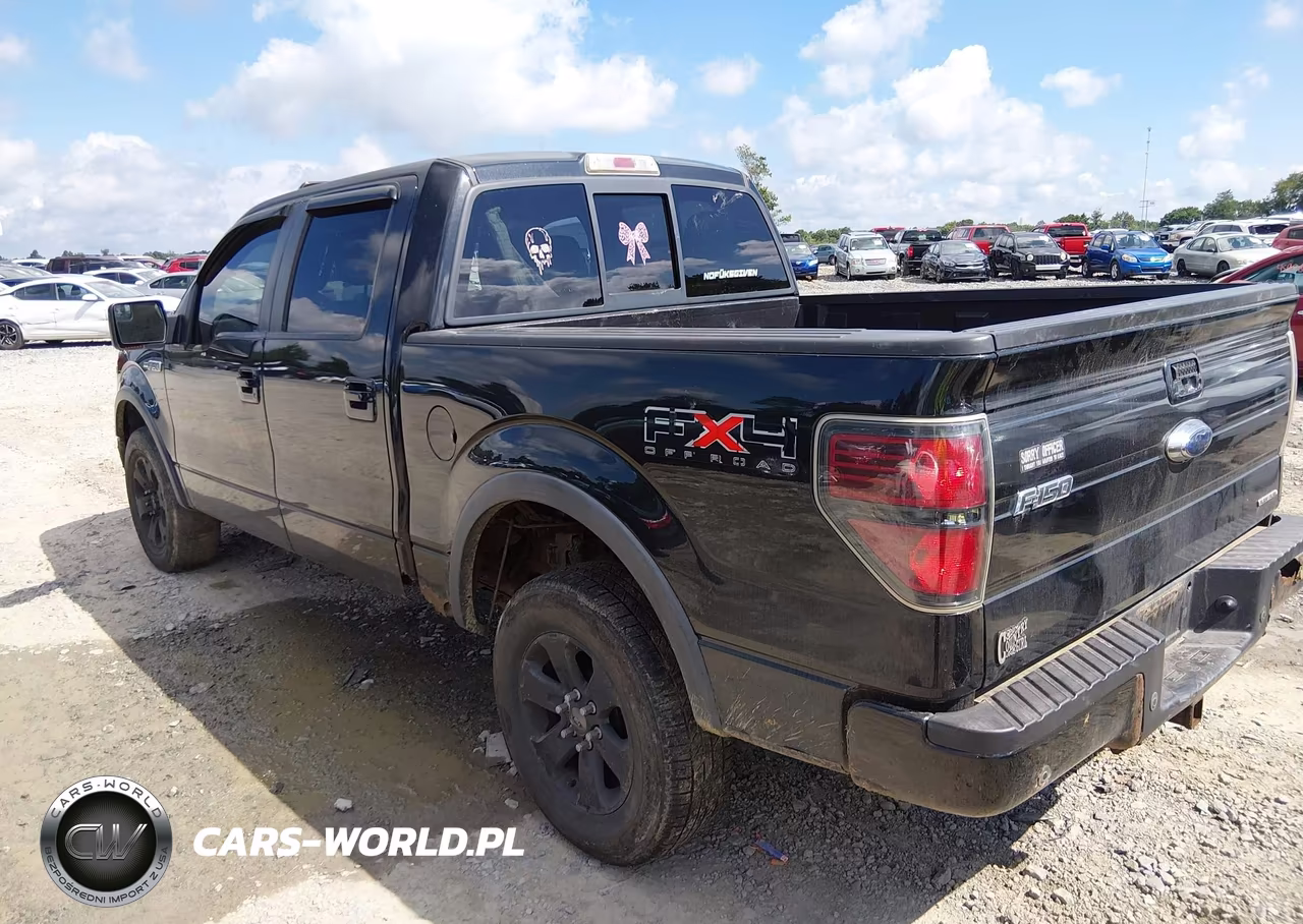 2011 Ford F-150 Fx4 VIN:1FTFW1EF9BFA93094 - 3