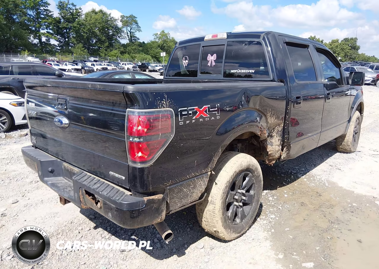 2011 Ford F-150 Fx4 VIN:1FTFW1EF9BFA93094 - 4