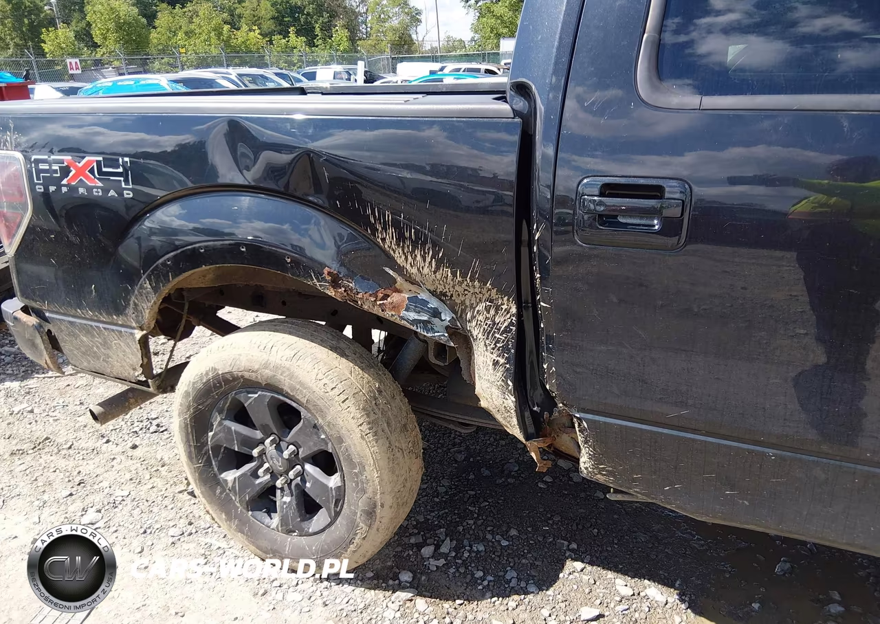 2011 Ford F-150 Fx4 VIN:1FTFW1EF9BFA93094 - 6