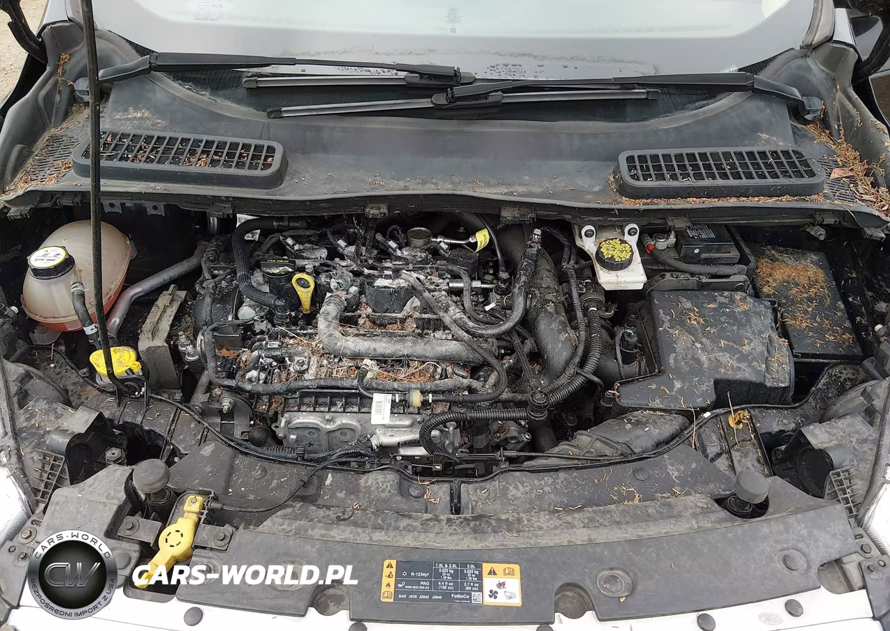 2019 Ford Escape Se VIN:1FMCU0GD2KUC54925 - 10