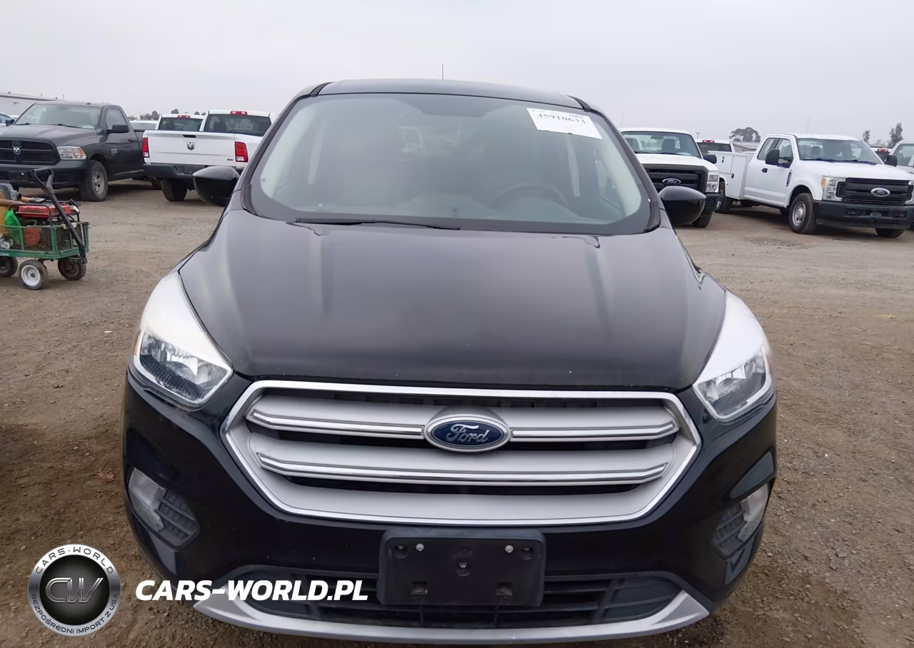 2019 Ford Escape Se VIN:1FMCU0GD2KUC54925 - 12