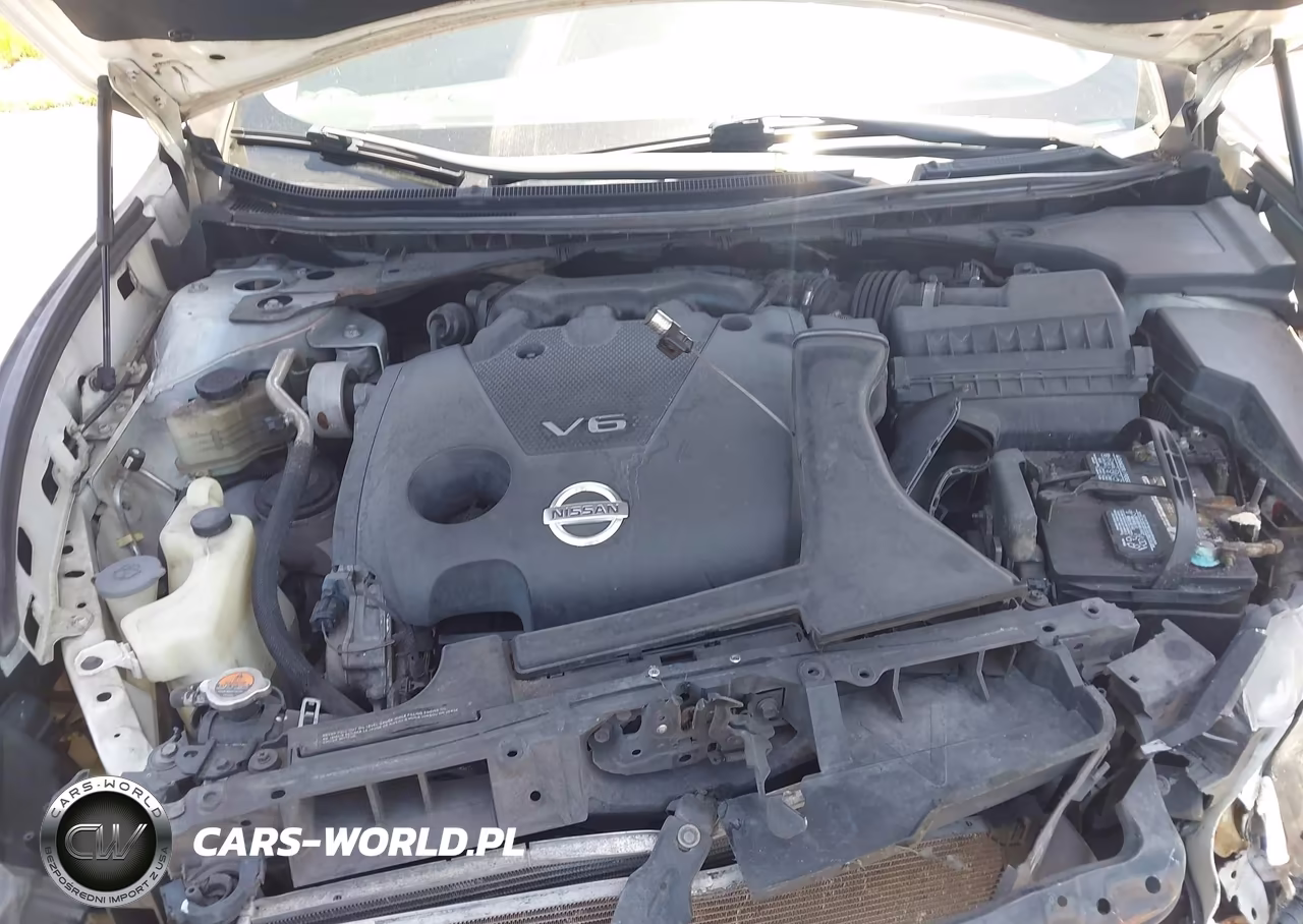 2014 Nissan Maxima VIN:1N4AA5AP6EC488456 - 10