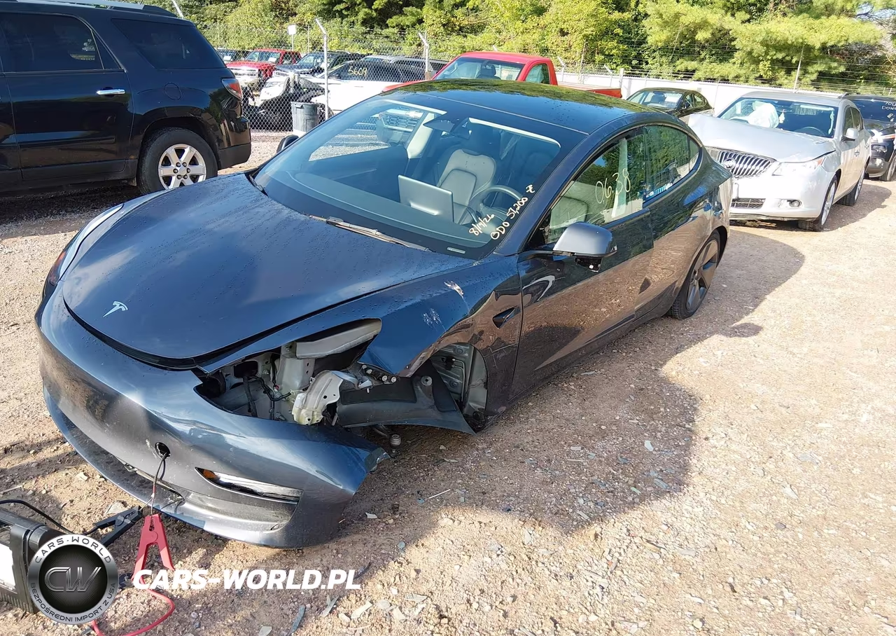 2023 Tesla Model 3 Rear-Wheel Drive VIN:5YJ3E1EA5PF404736 - 2