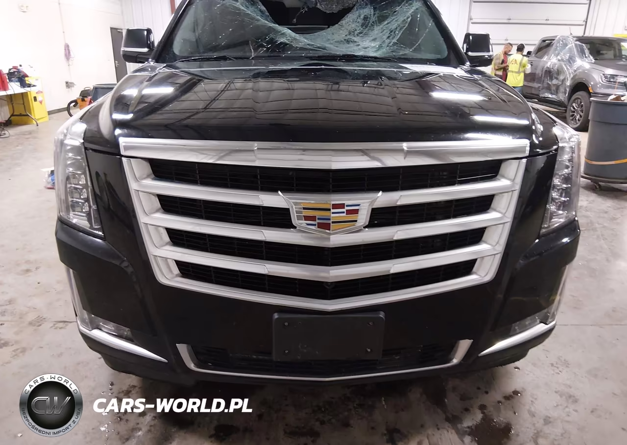2016 Cadillac Escalade Esv Luxury Collection VIN:1GYS4HKJ2GR356001 - 13