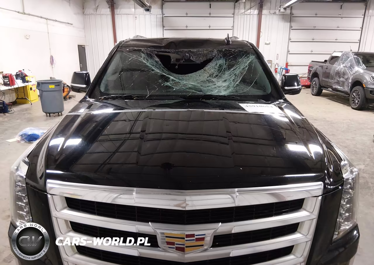 2016 Cadillac Escalade Esv Luxury Collection VIN:1GYS4HKJ2GR356001 - 6