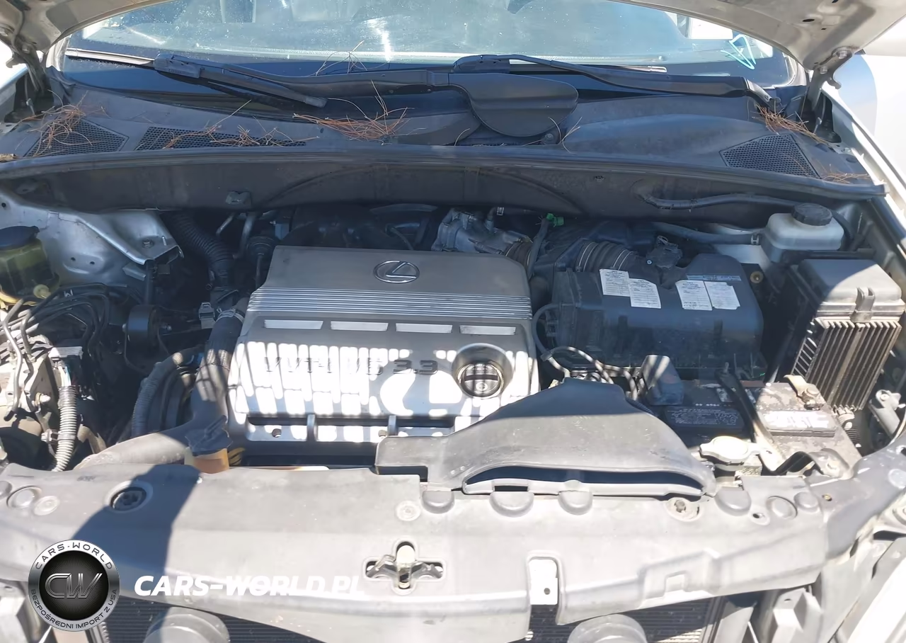 2005 Lexus Rx 330 VIN:JTJGA31U550051464 - 10