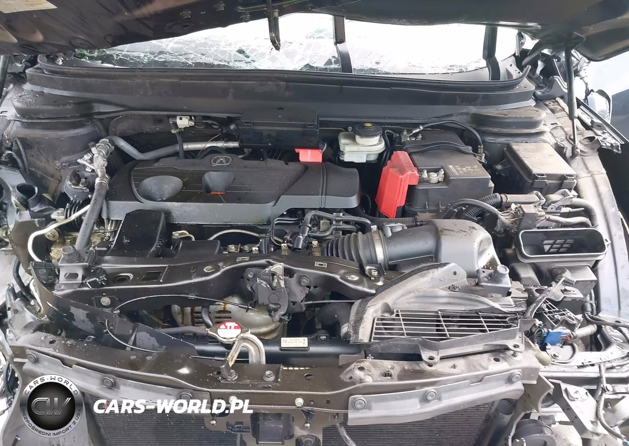 2019 Acura Rdx Advance Package VIN:5J8TC2H7XKL031731 - 10