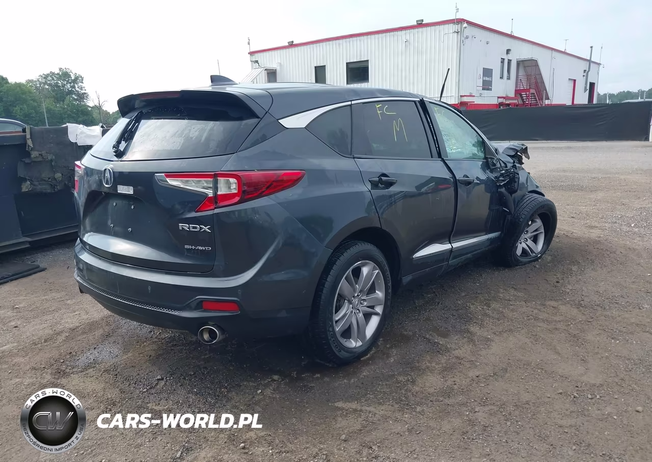 2019 Acura Rdx Advance Package VIN:5J8TC2H7XKL031731 - 4