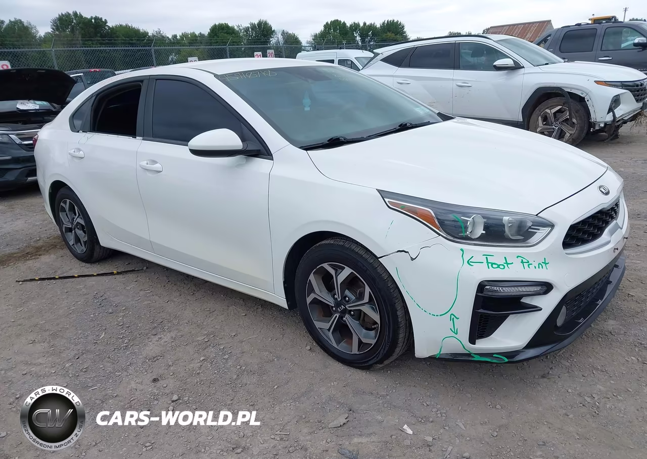 2019 Kia Forte Lxs
