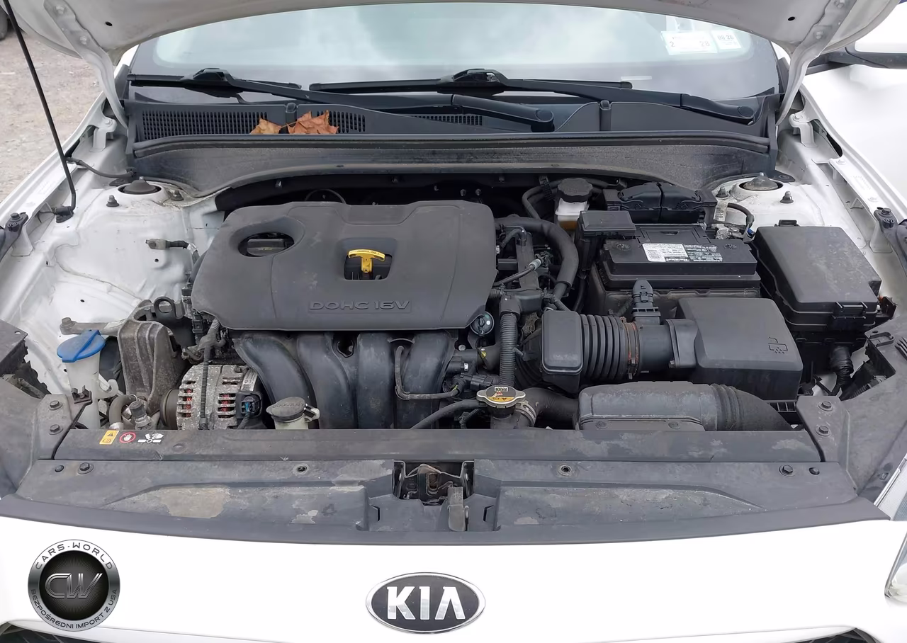 2019 Kia Forte Lxs VIN:3KPF24AD2KE087195 - 10