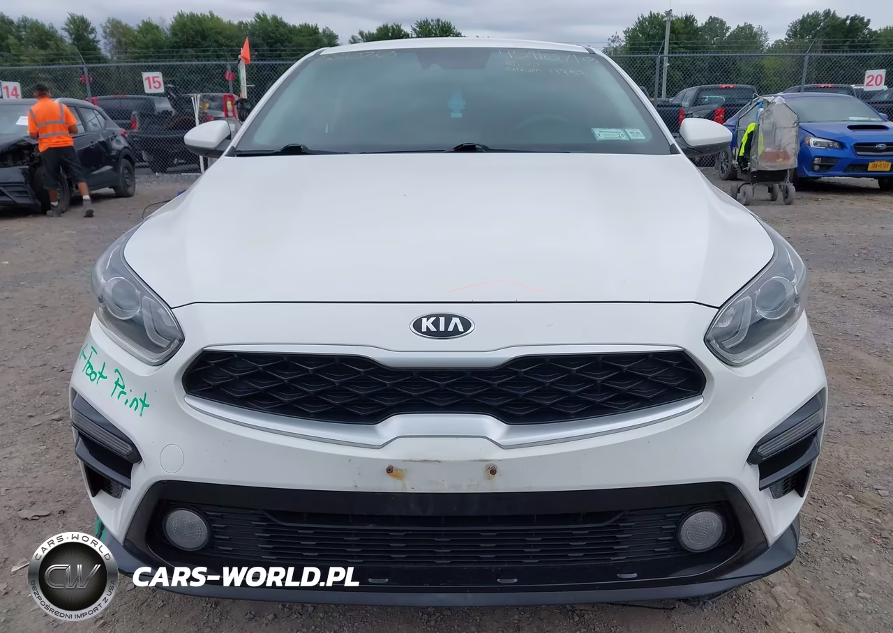 2019 Kia Forte Lxs VIN:3KPF24AD2KE087195 - 12