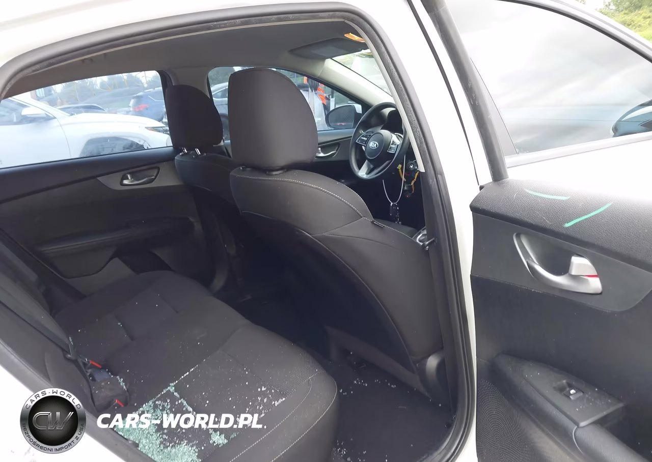 2019 Kia Forte Lxs VIN:3KPF24AD2KE087195 - 8