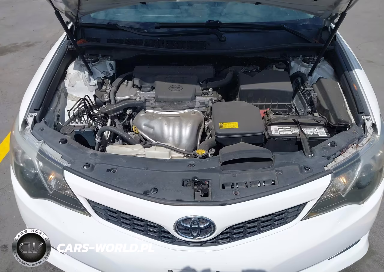 2014 Toyota Camry Se VIN:4T1BF1FK1EU787686 - 10