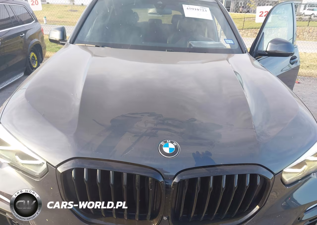 2021 BMW X5 Sdrive40I VIN:5UXCR4C09M9F67834 - 6
