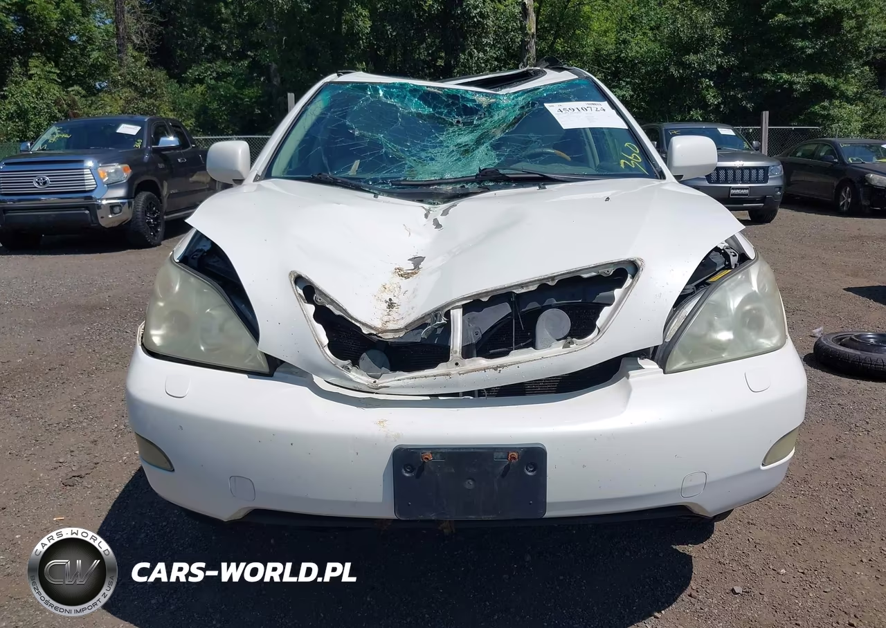 2007 Lexus Rx 350 VIN:2T2HK31U17C021791 - 12
