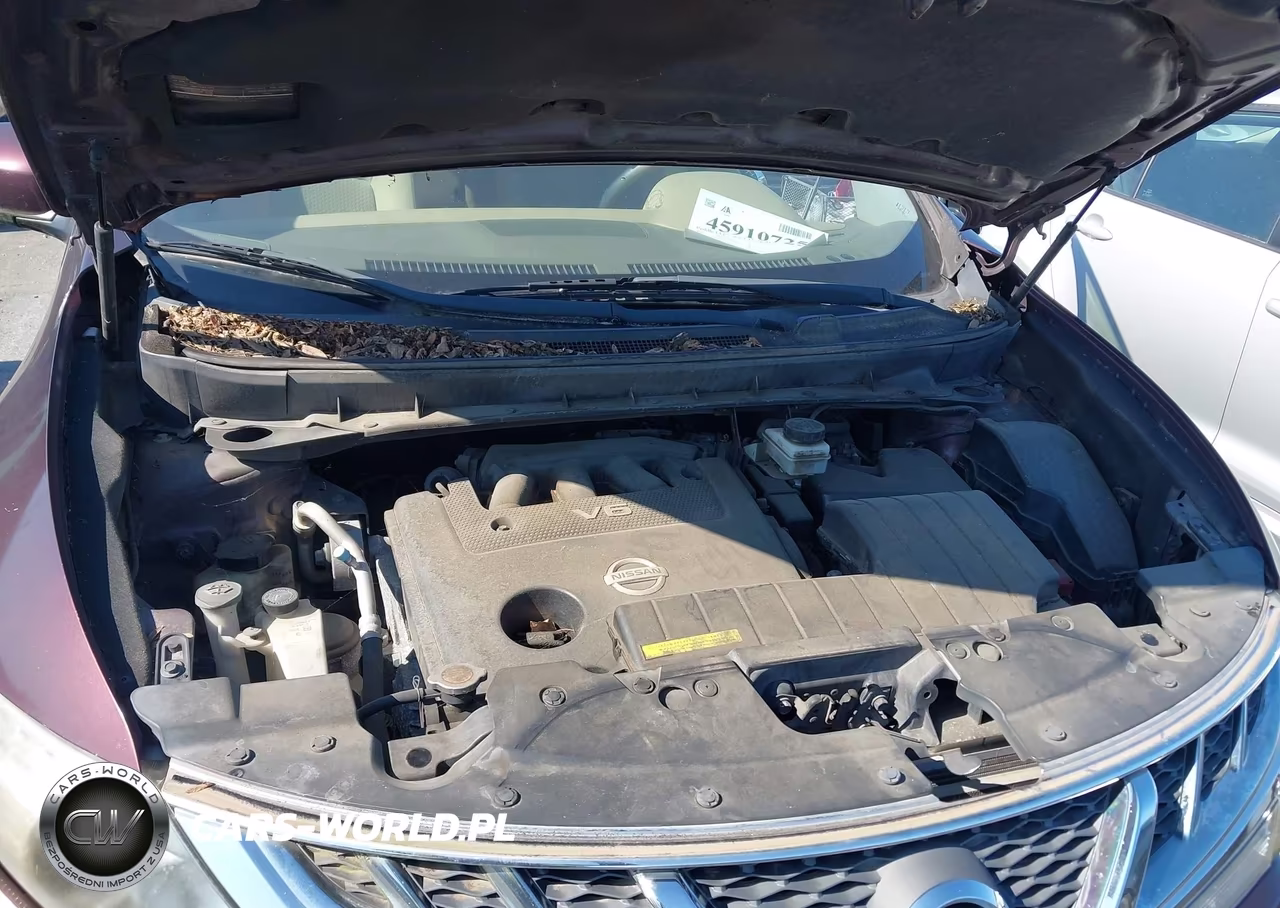 2013 Nissan Murano S VIN:JN8AZ1MU6DW209182 - 10