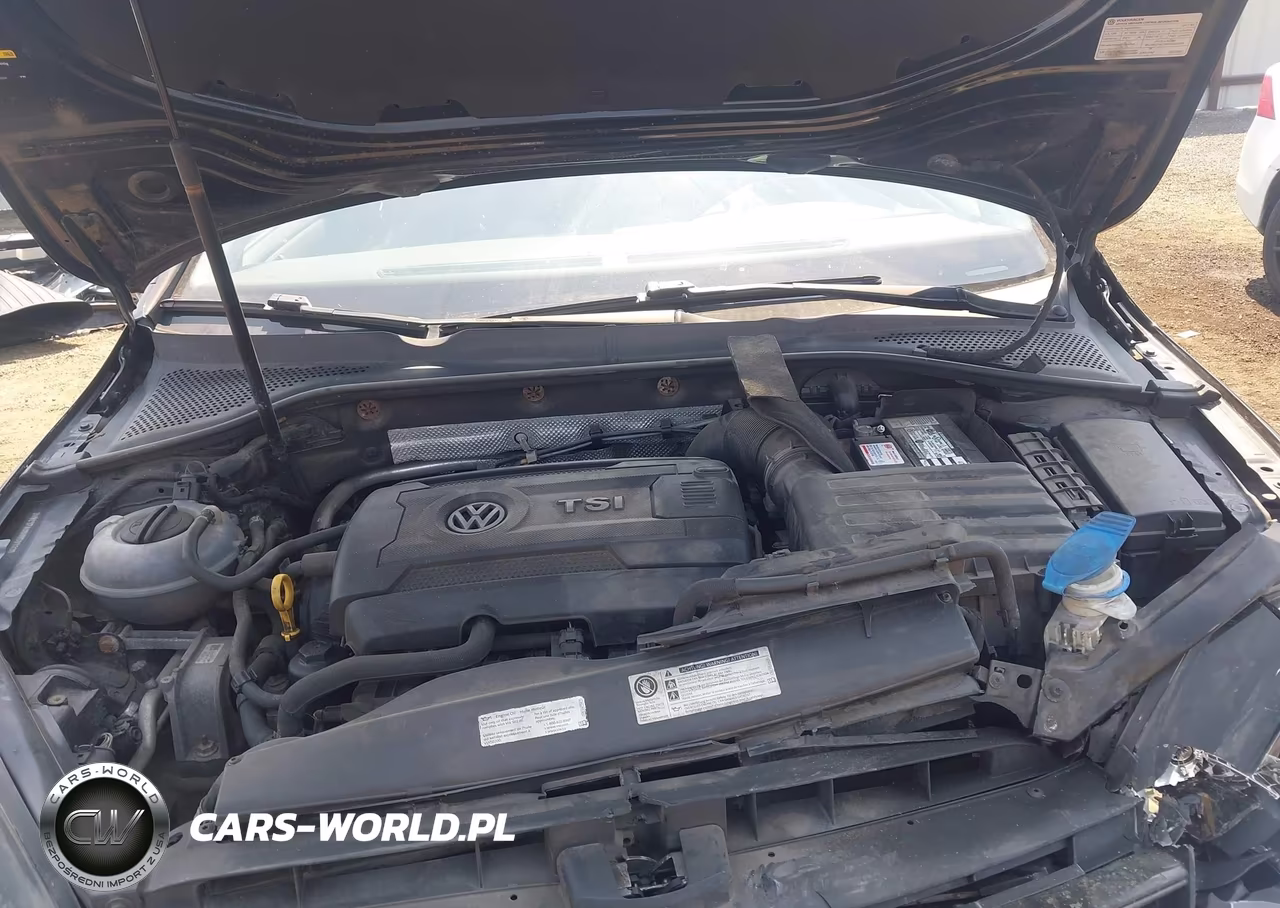 2017 Volkswagen Golf Sportwagen Tsi Se VIN:3VWC17AU8HM501339 - 10