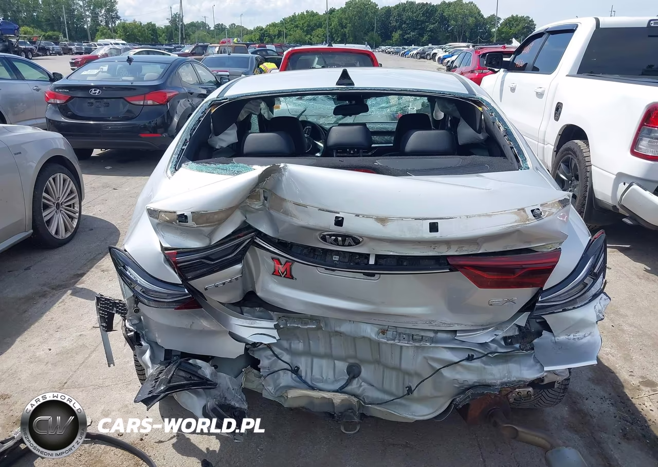 2020 Kia Forte Ex VIN:3KPF54AD5LE214174 - 17
