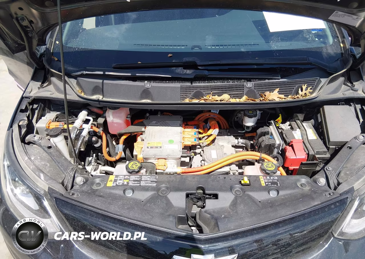 2017 Chevrolet Bolt Ev Premier VIN:1G1FX6S04H4179579 - 10
