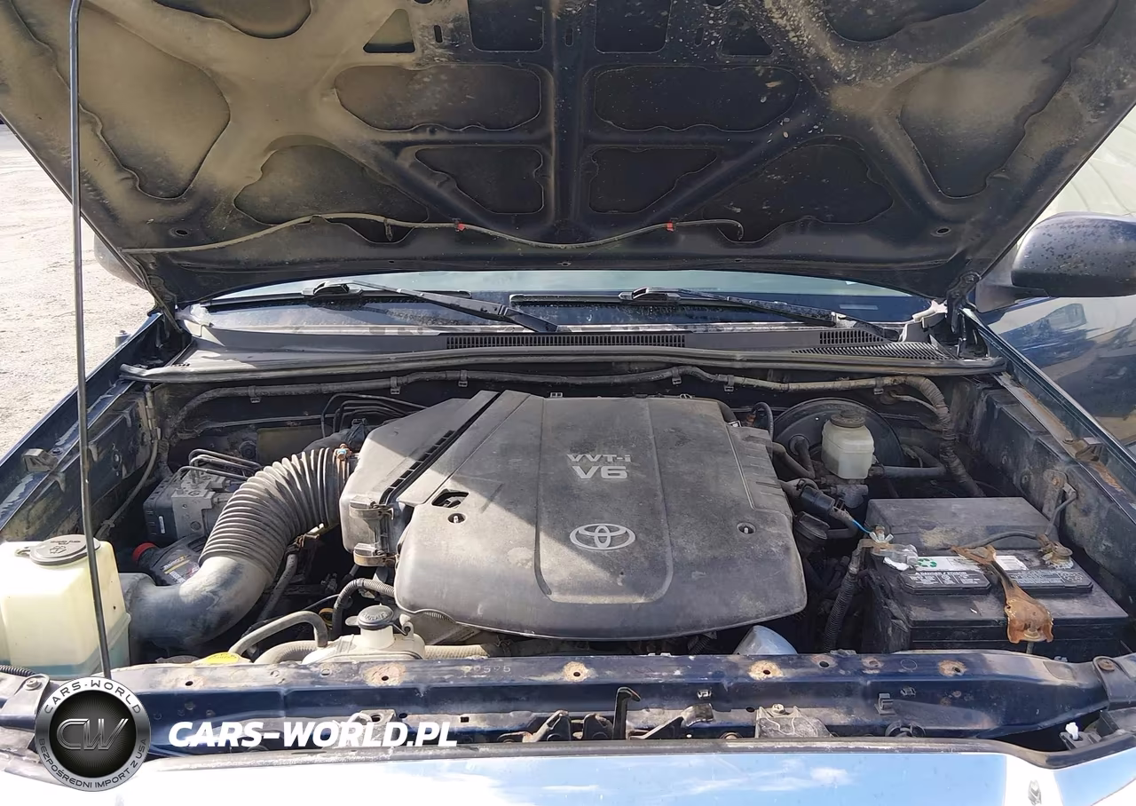 2006 Toyota Tacoma Base V6 VIN:5TEUU42N66Z304013 - 10