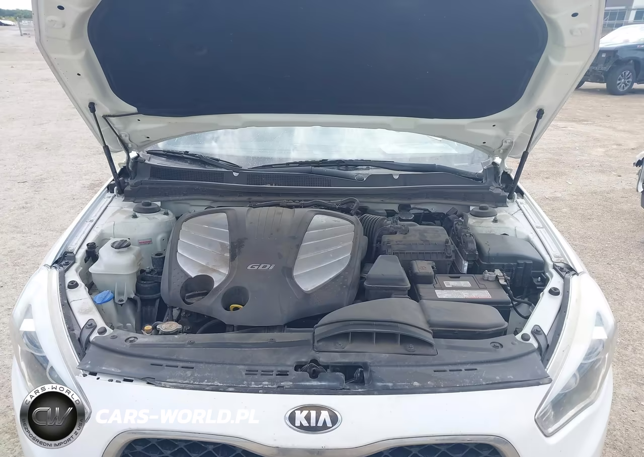 2015 Kia Cadenza Premium VIN:KNALN4D71F5190736 - 10