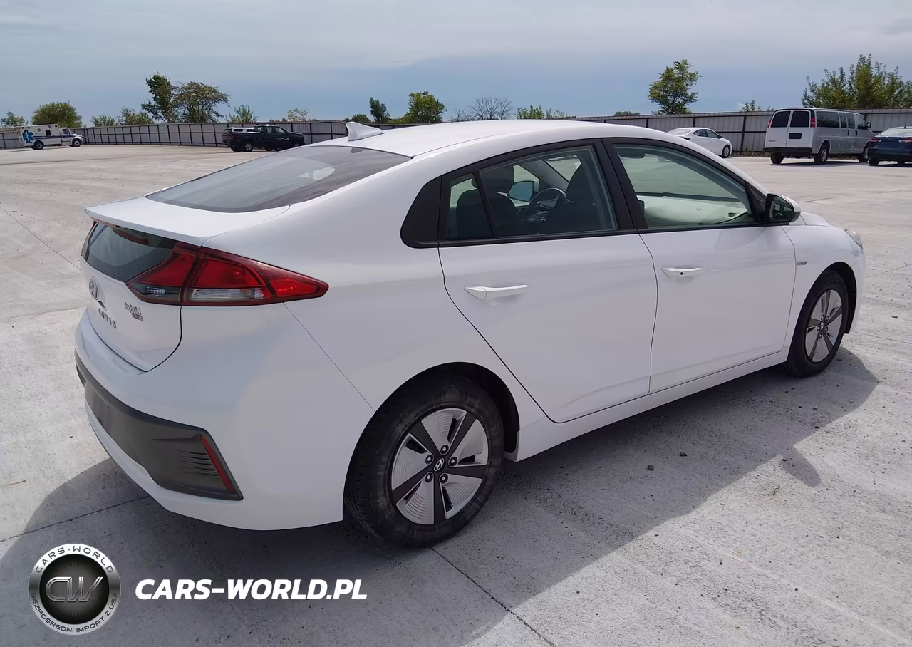 2020 Hyundai Ioniq Hybrid Blue VIN:KMHC65LC1LU233098 - 4