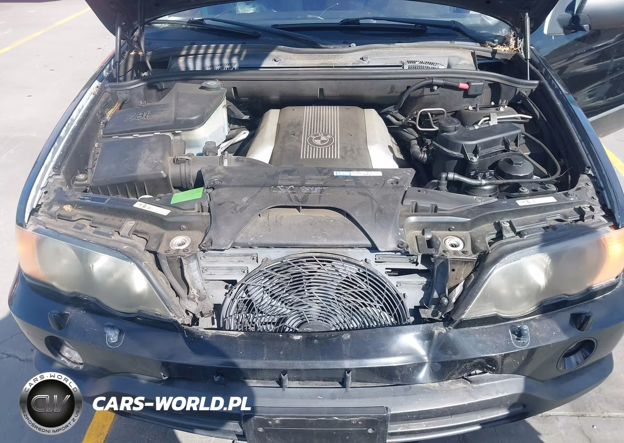 2001 BMW X5 4.4 VIN:WBAFB33551LH22674 - 10