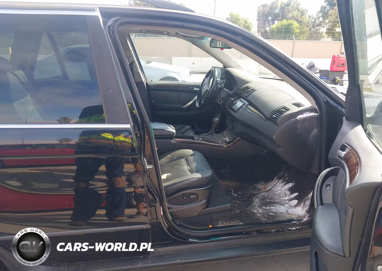 2001 BMW X5 4.4 VIN:WBAFB33551LH22674 - 5