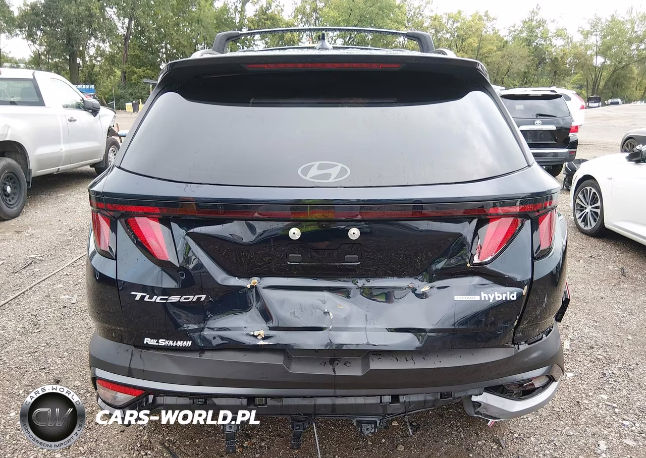 2026 Hyundai Tucson Hybrid Sel VIN:KM8JBDD13TU462795 - 16