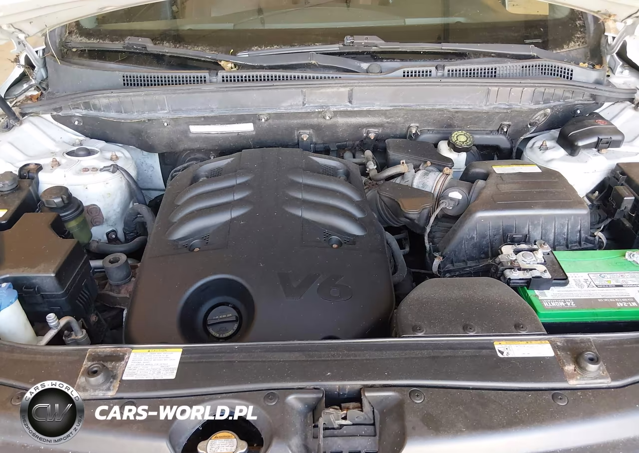 2008 Hyundai Veracruz Gls-Limited-Se VIN:KM8NU73C98U033135 - 10