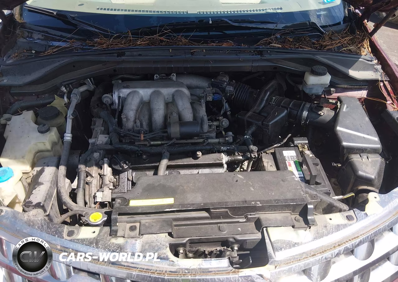 2005 Nissan Murano S VIN:JN8AZ08W45W430805 - 10