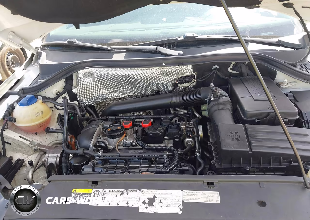 2013 Volkswagen Tiguan S VIN:WVGCV3AX5DW593431 - 10