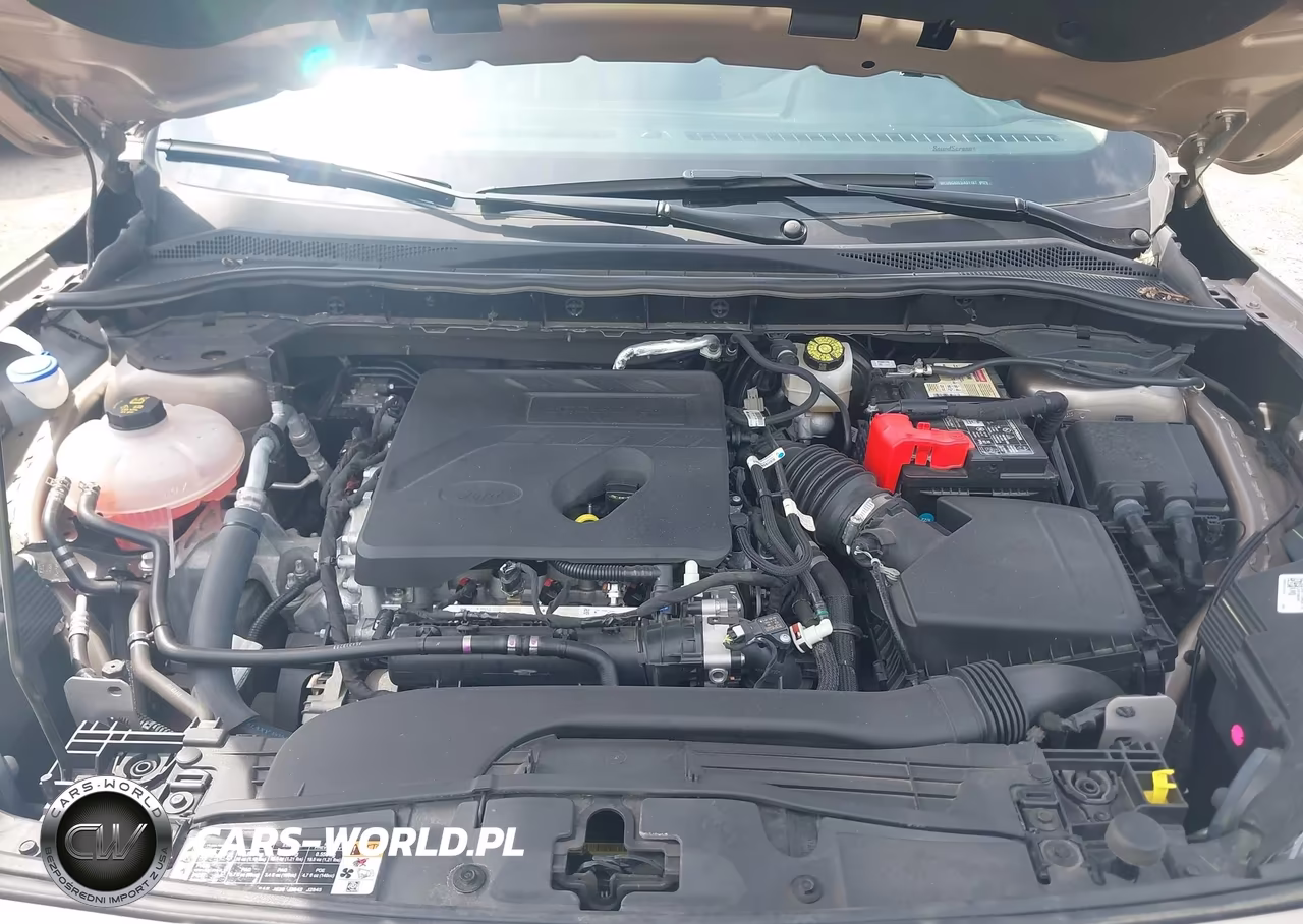 2020 Ford Escape Se VIN:1FMCU0G68LUA51167 - 10