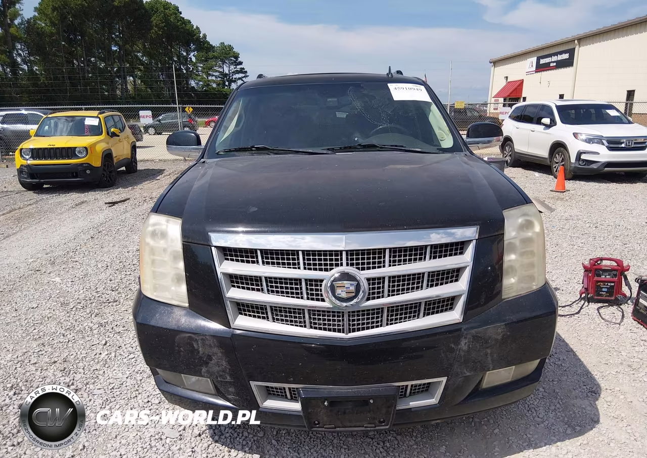 2009 Cadillac Escalade Esv Platinum Edition VIN:1GYFK36209R176774 - 12