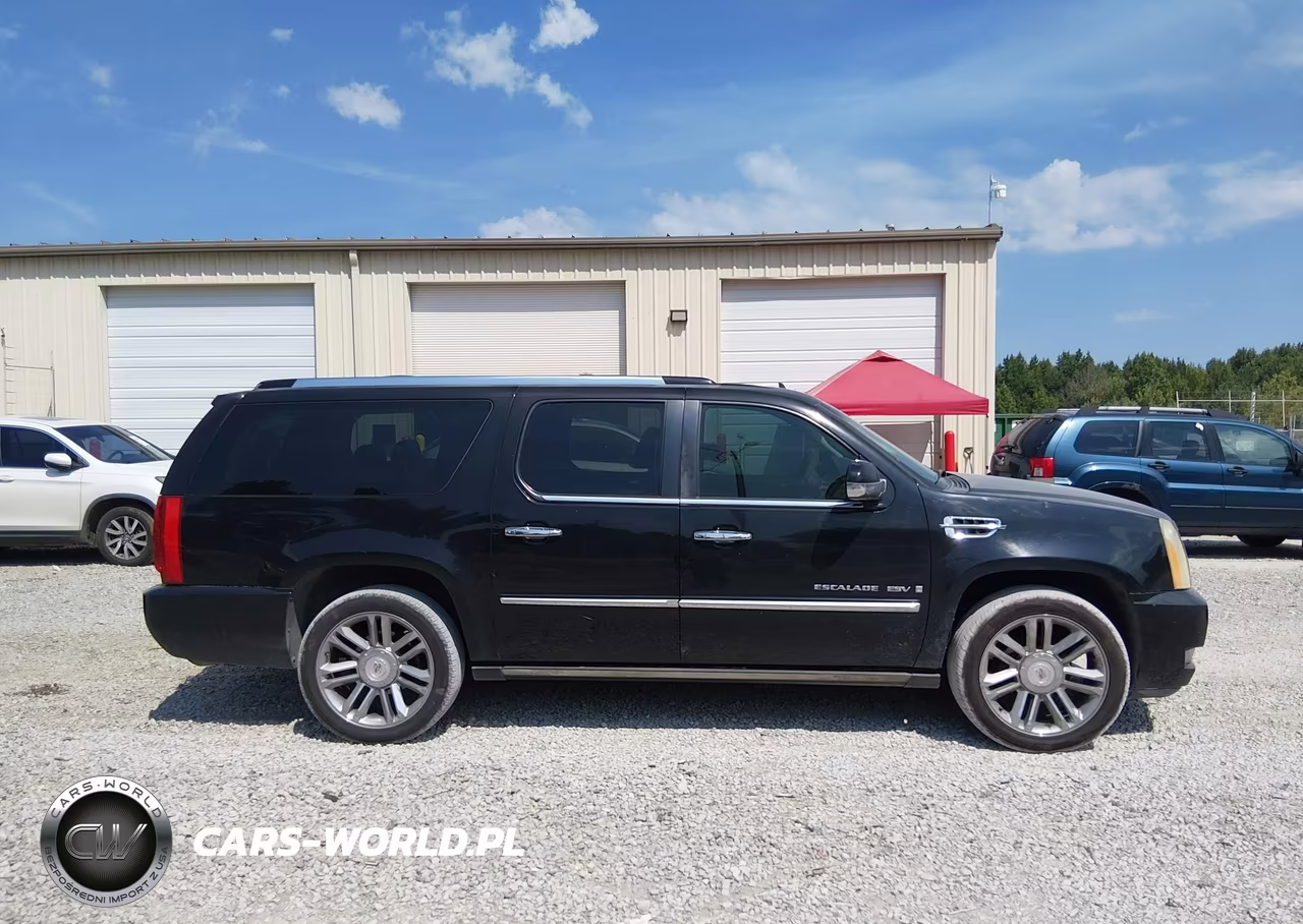 2009 Cadillac Escalade Esv Platinum Edition VIN:1GYFK36209R176774 - 13