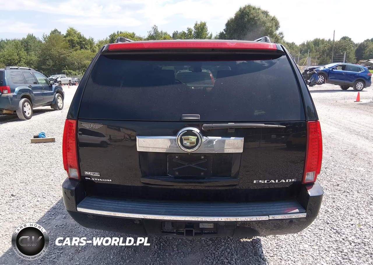 2009 Cadillac Escalade Esv Platinum Edition VIN:1GYFK36209R176774 - 16