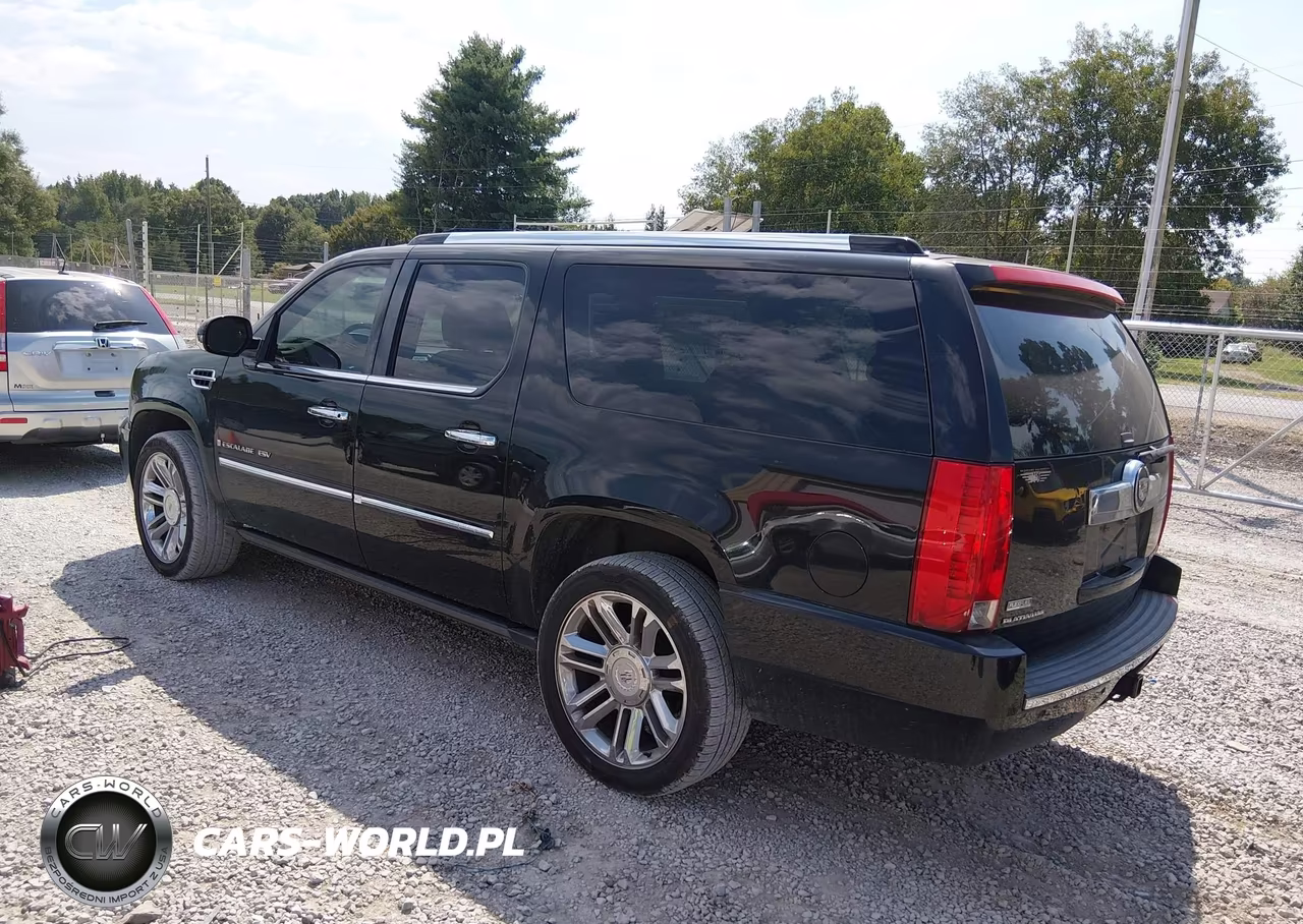 2009 Cadillac Escalade Esv Platinum Edition VIN:1GYFK36209R176774 - 3