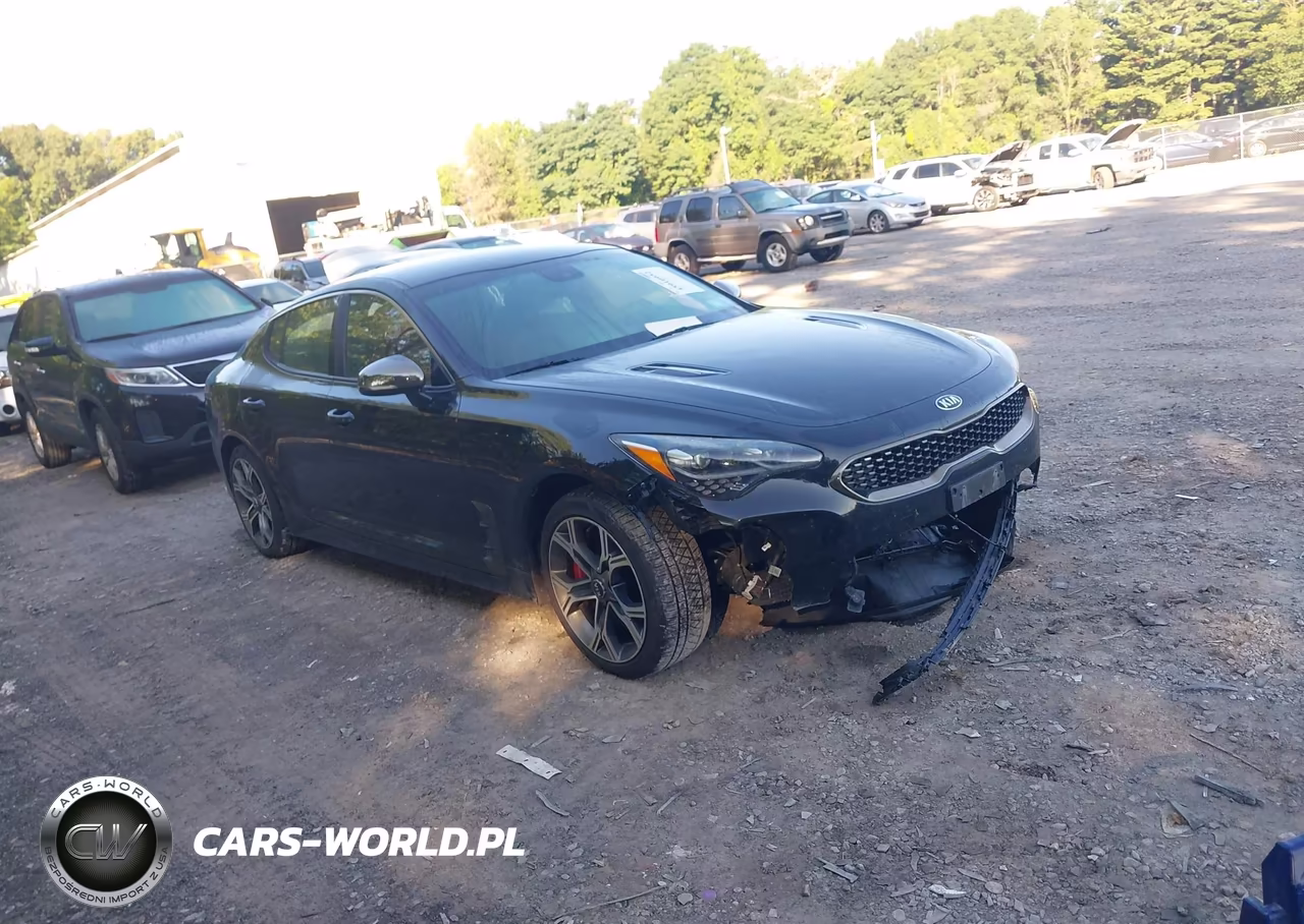 2019 Kia Stinger Gt VIN:KNAE35LC5K6056724 - 1