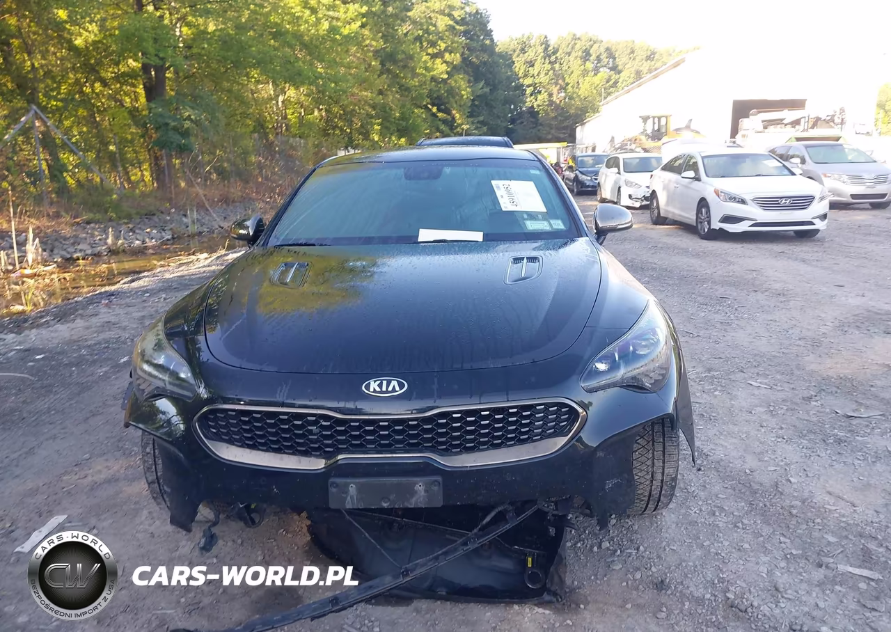 2019 Kia Stinger Gt VIN:KNAE35LC5K6056724 - 12