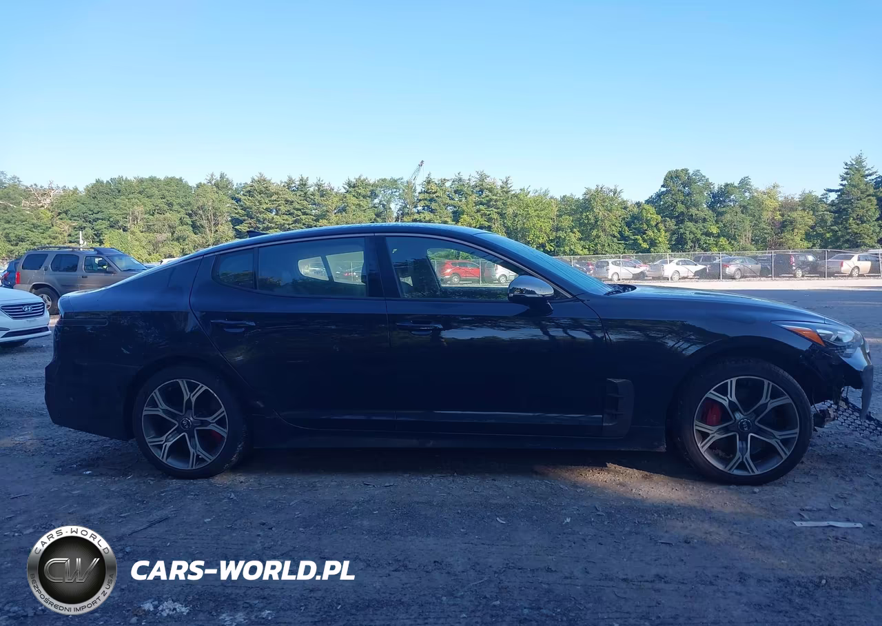 2019 Kia Stinger Gt VIN:KNAE35LC5K6056724 - 13
